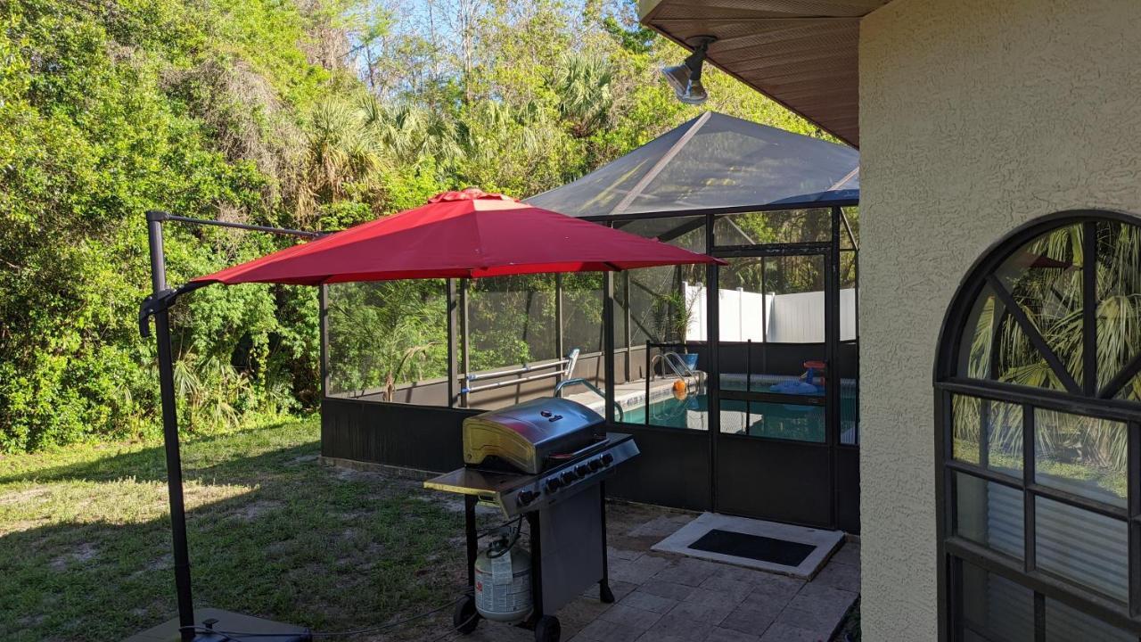 Your Manatee And Scalloping Adventure Retreat Crystal River Exteriér fotografie
